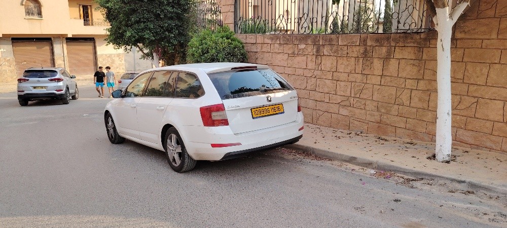 skoda - 1