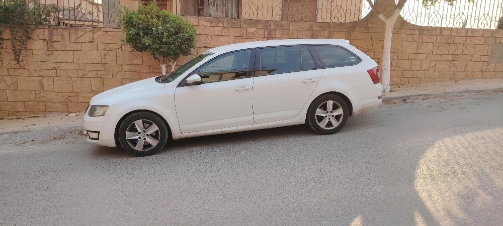 skoda - 3