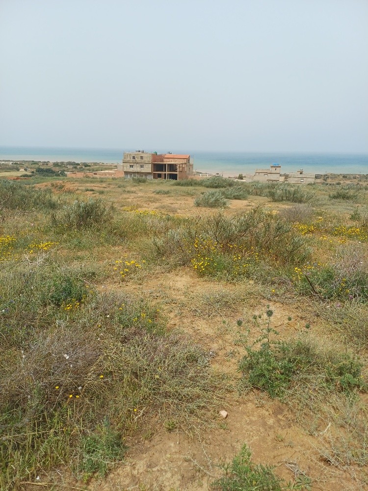بيع قطعة ارض - 3