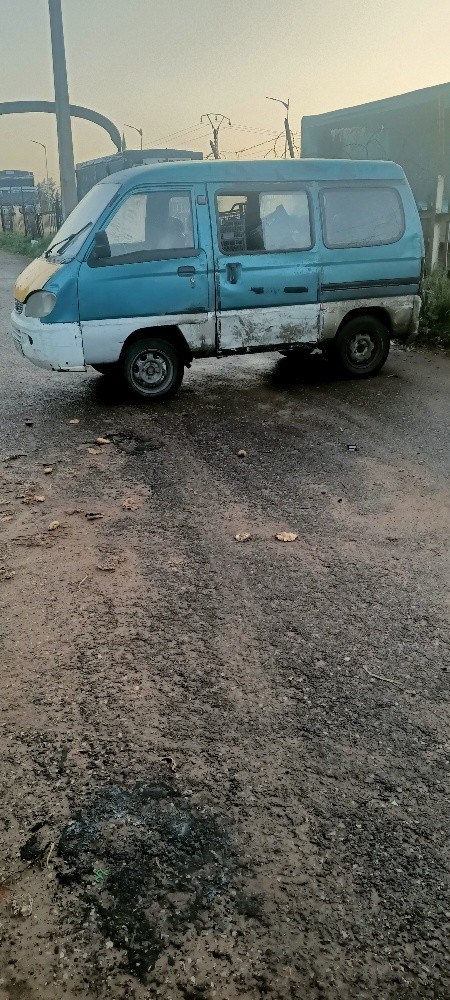 فاو نقية - 5