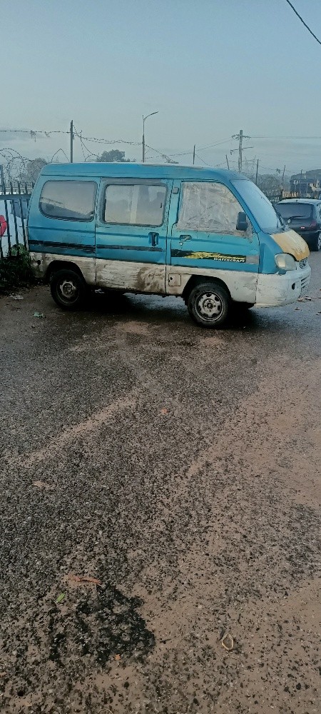فاو نقية - 3