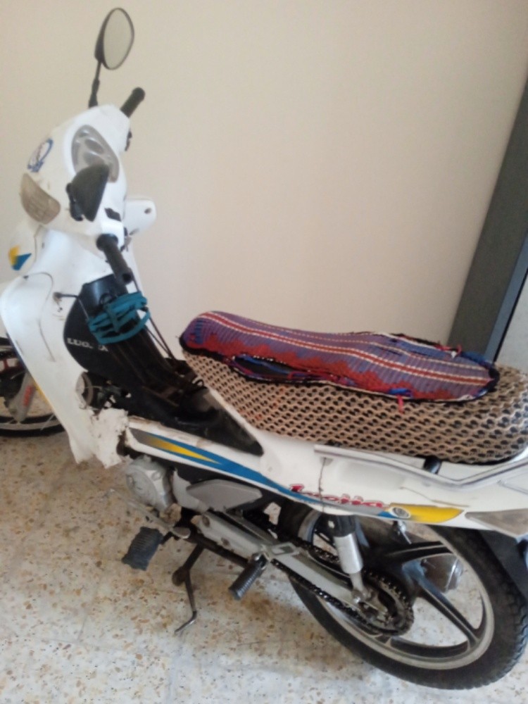 لوجيا - 1