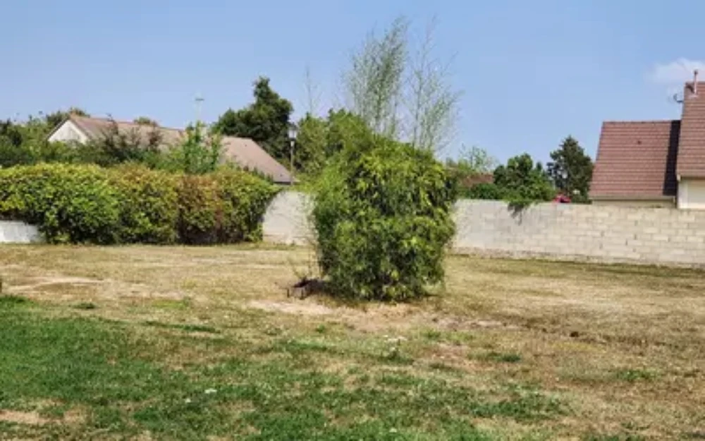 Vente Terrain Centre Ville Bou Is - 1
