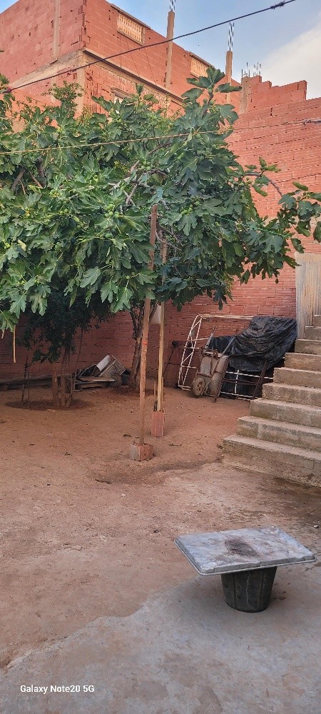 سكن ارضي - 2