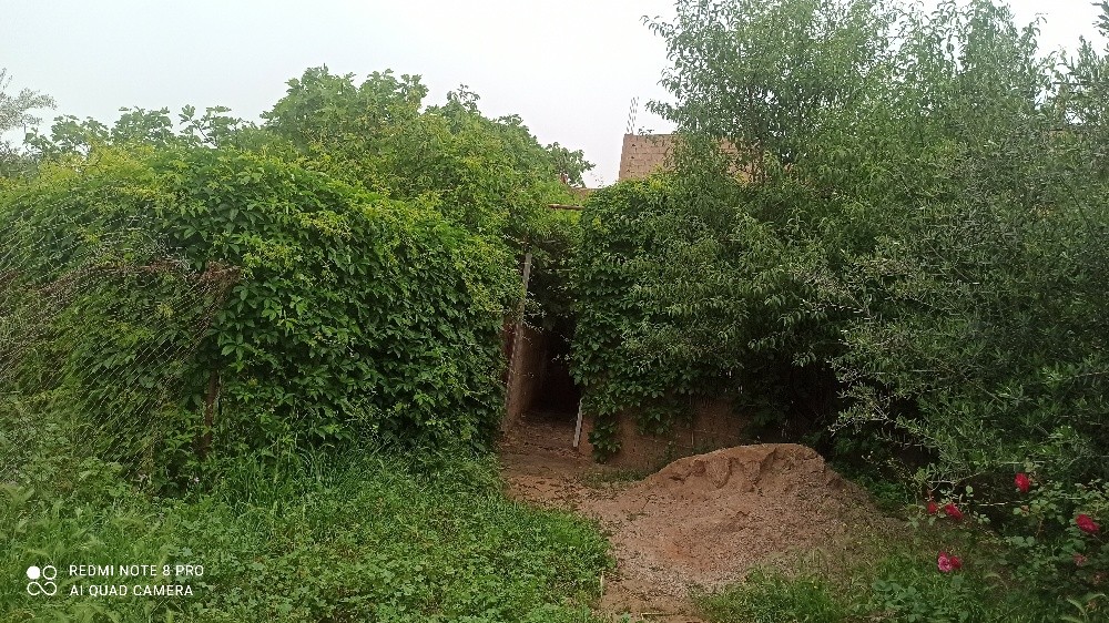 Maison à vendre dans un emplacement très stratégique et calme, - 8
