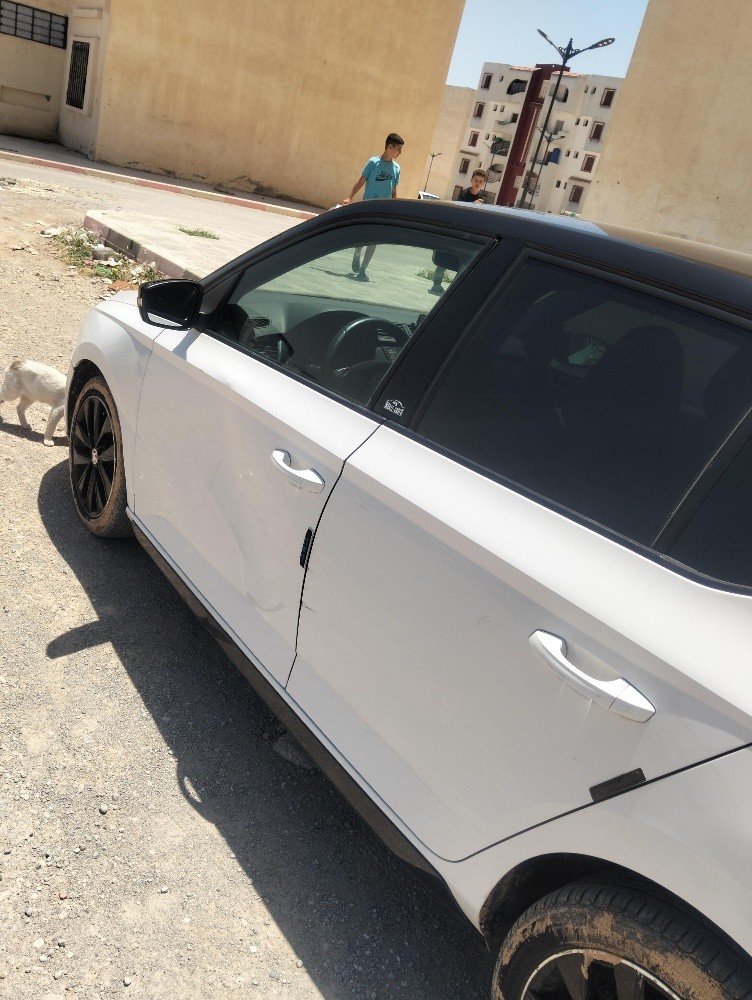سكودا فابيا - 4