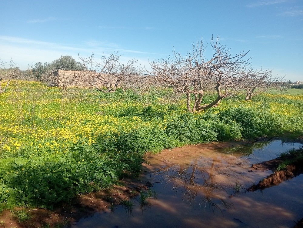 terres agricoles - 12