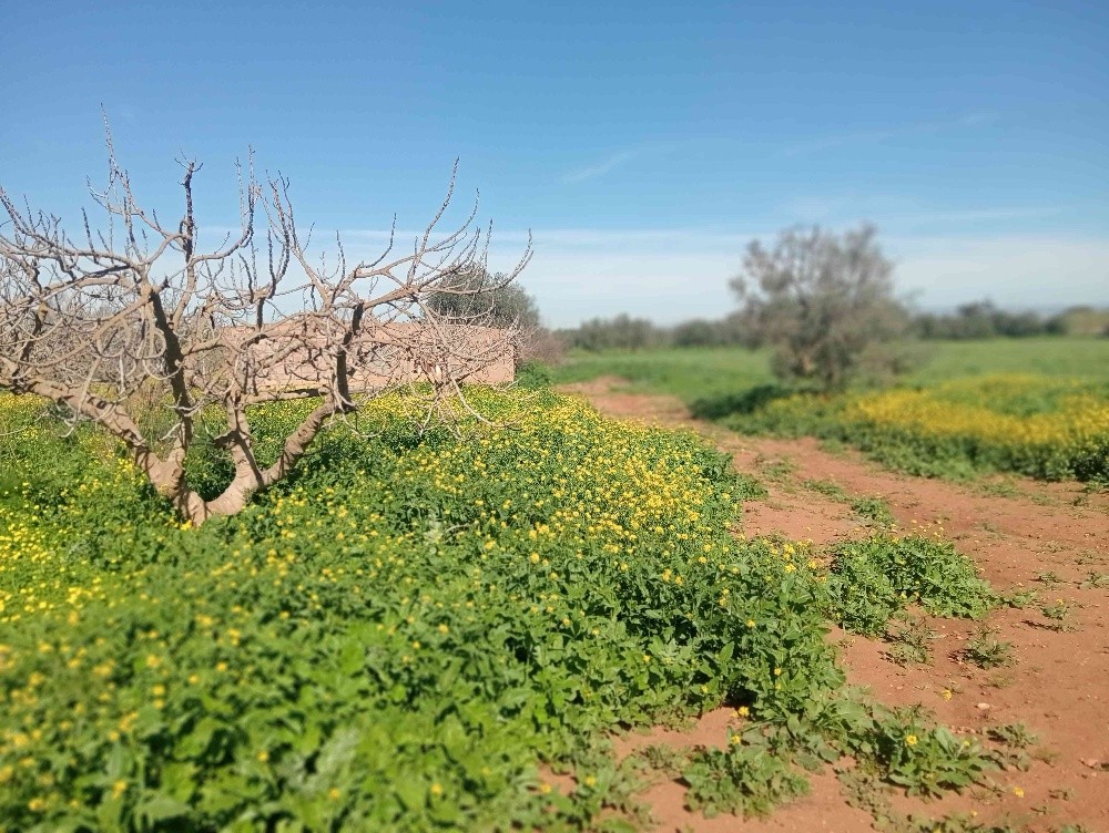 terres agricoles - 8