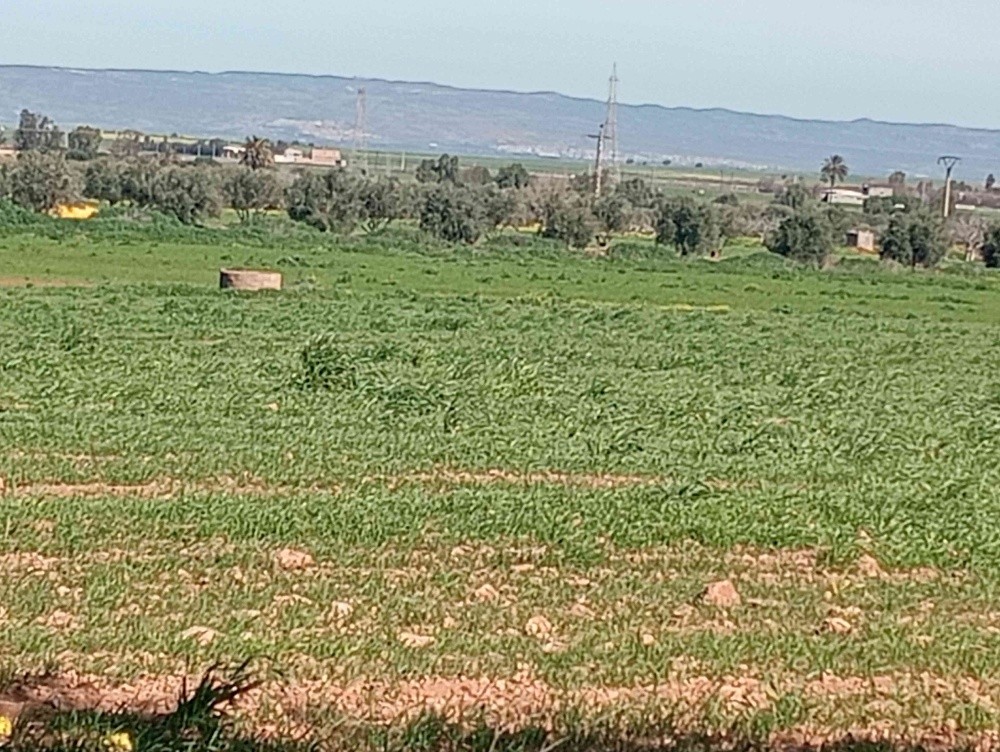 terres agricoles - 3