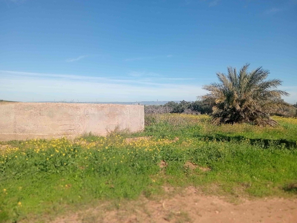 terres agricoles - 4