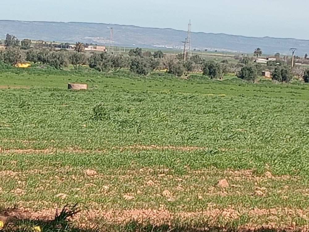 terres agricoles - 15
