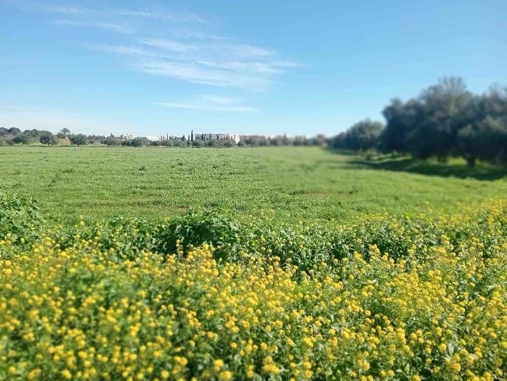 terres agricoles - 5