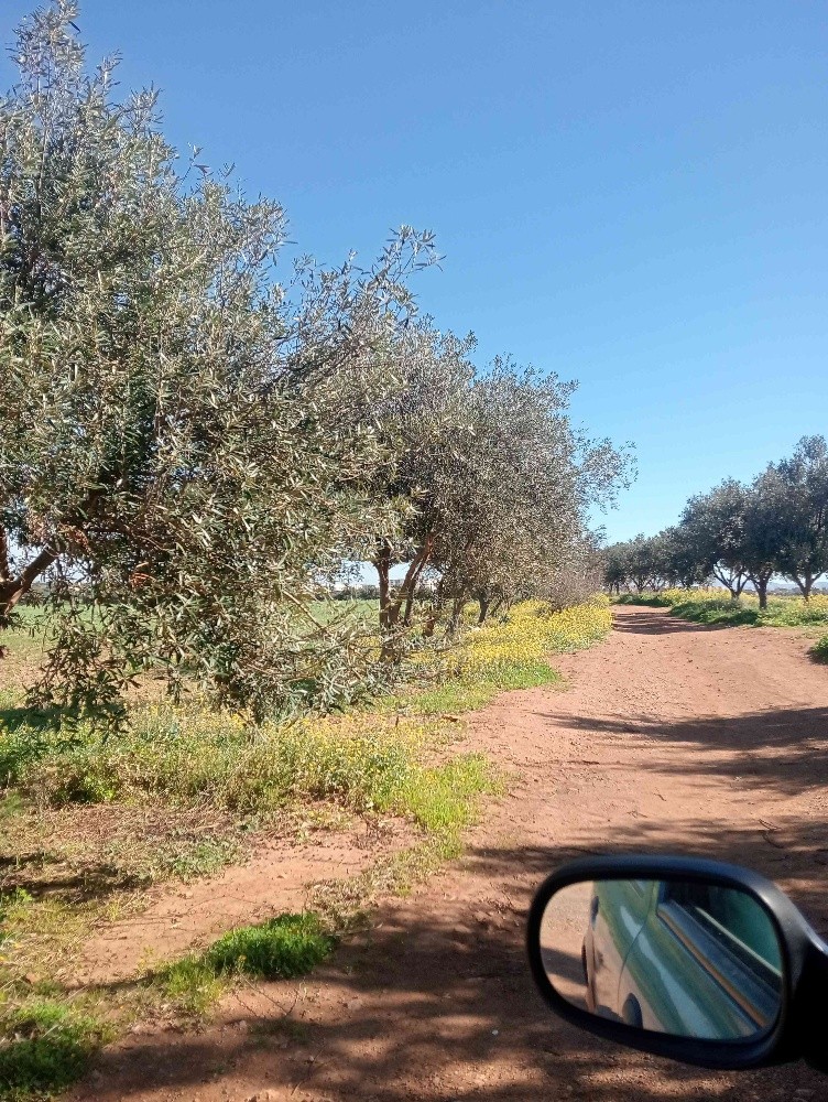 terres agricoles - 10