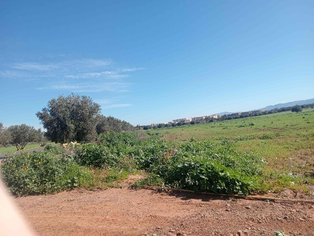 terres agricoles - 9