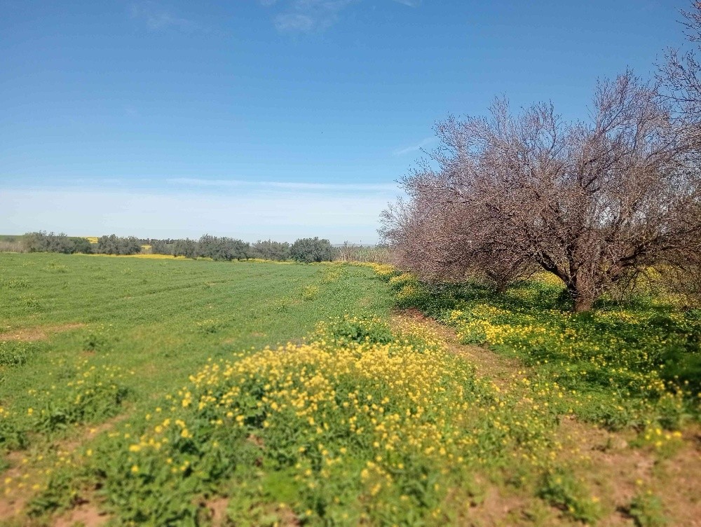terres agricoles - 1