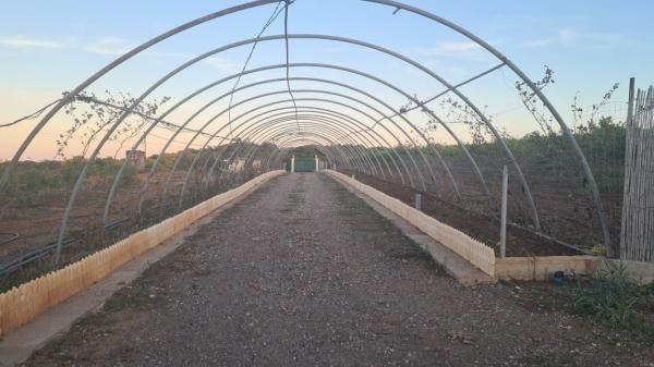 Terres agricoles à potentiel d'investissement - 10