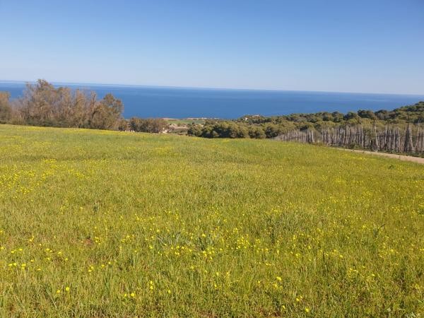 Terres agricoles à potentiel d'investissement - 9