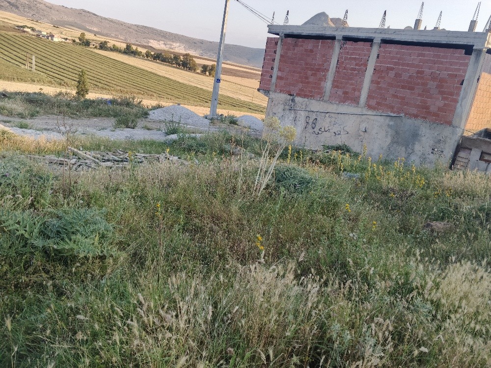 قطعة أرض للبيع فالدخلة تاع الهرية - 3