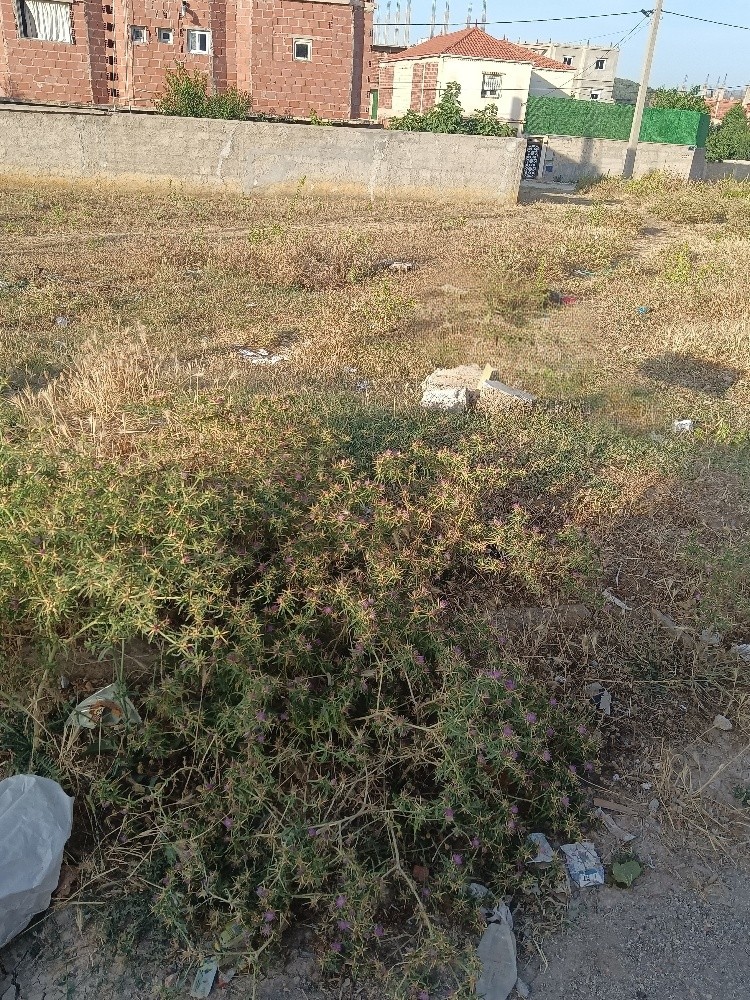 قطعة أرض للبيع وسط الهرية قسنطينة - 2