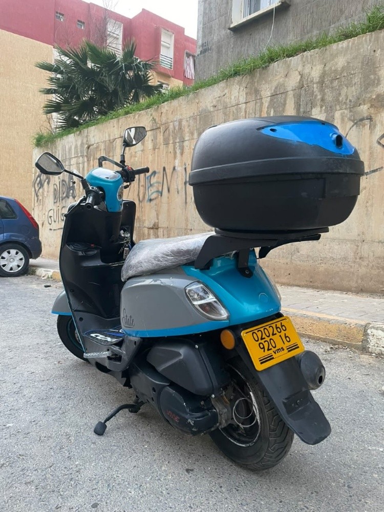 استيت - 5