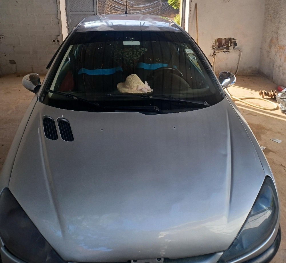 Peugeot  206 - 8