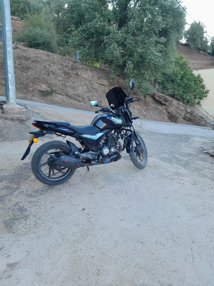 بينيلي - 1