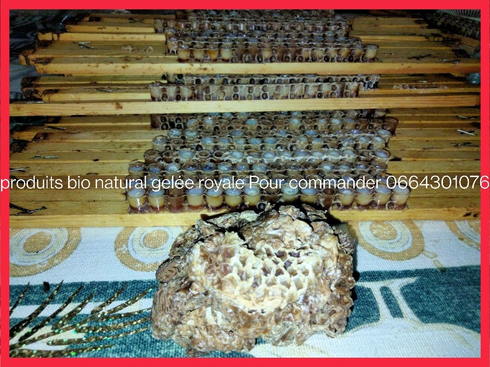 produits bio naturel - 2