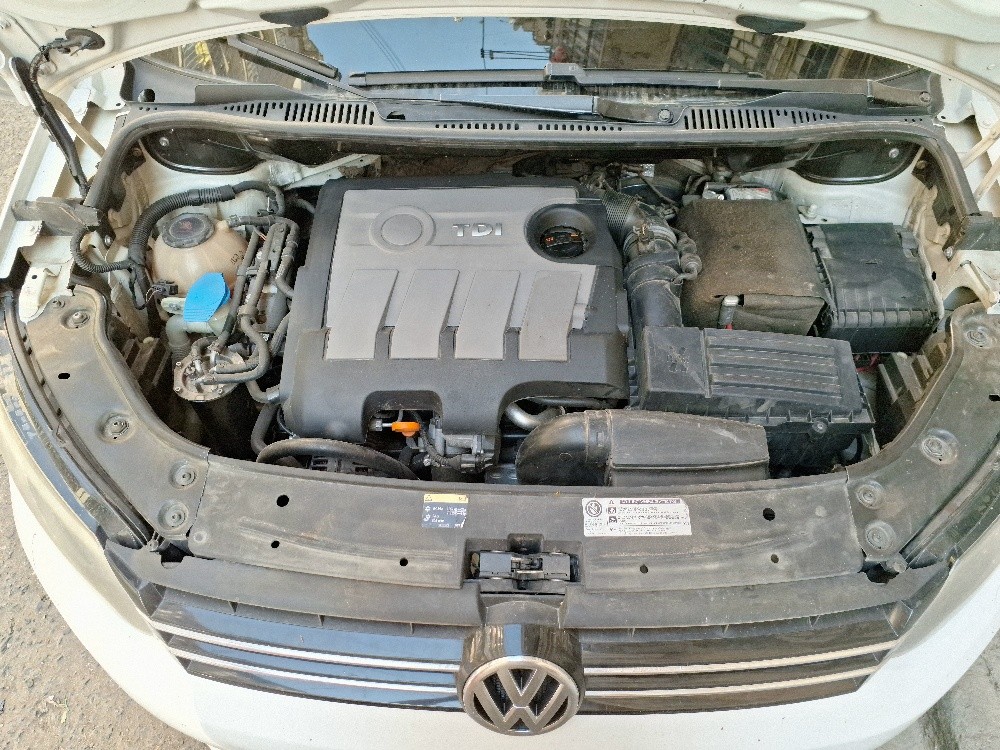 Caddy - 5