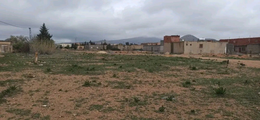 ارض للبيع - 2