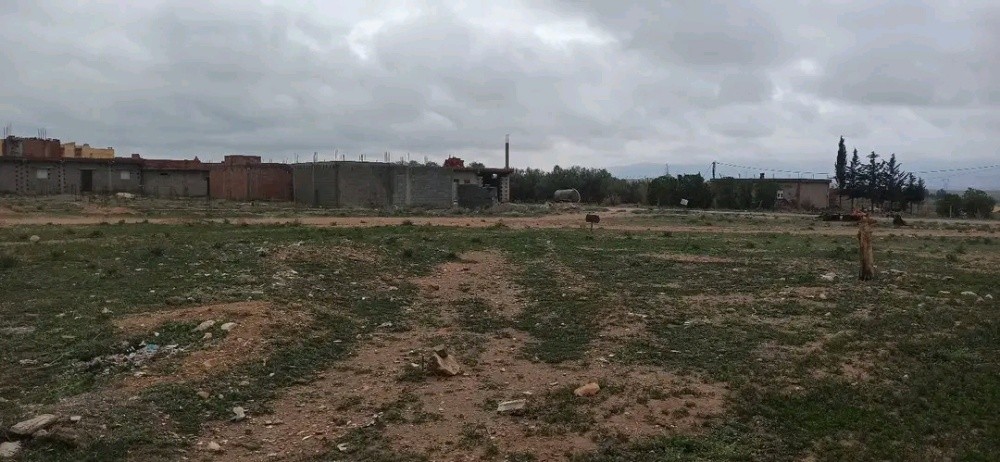 ارض للبيع - 4