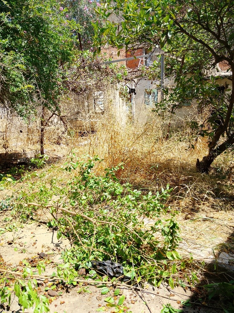 Nettoyage et Entretien de Jardins - 5