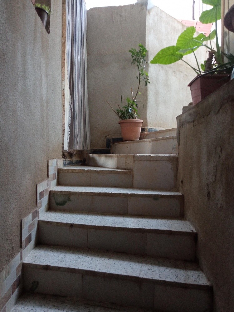 maison 2 étage commercial à vendr - 13
