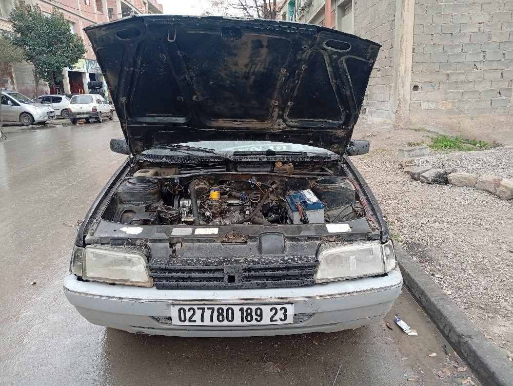 Peugeot 405  - 13