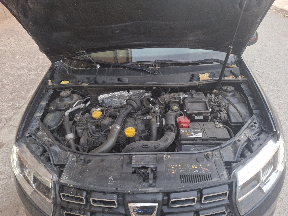 Dacia sandero - 1