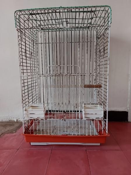 Cage Perroquet - 1