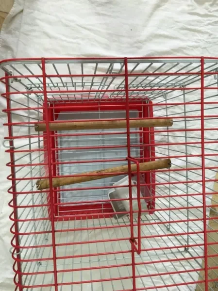 Cage à perroquet - 1