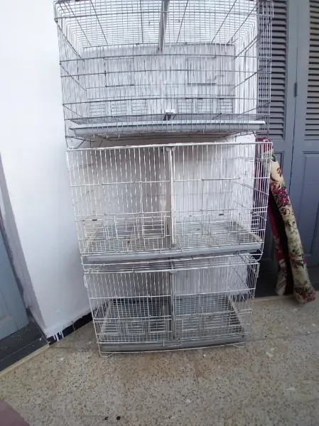 Cages séparation - 1