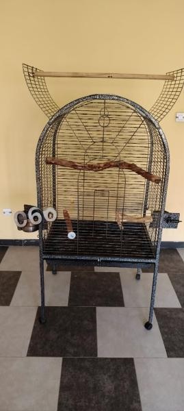 cage - 1