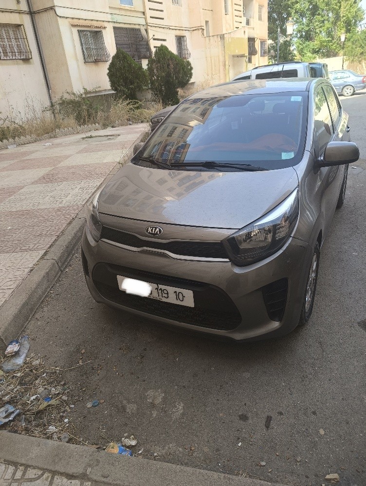 kia picanto - 3