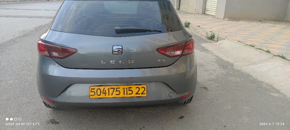 lion - 7
