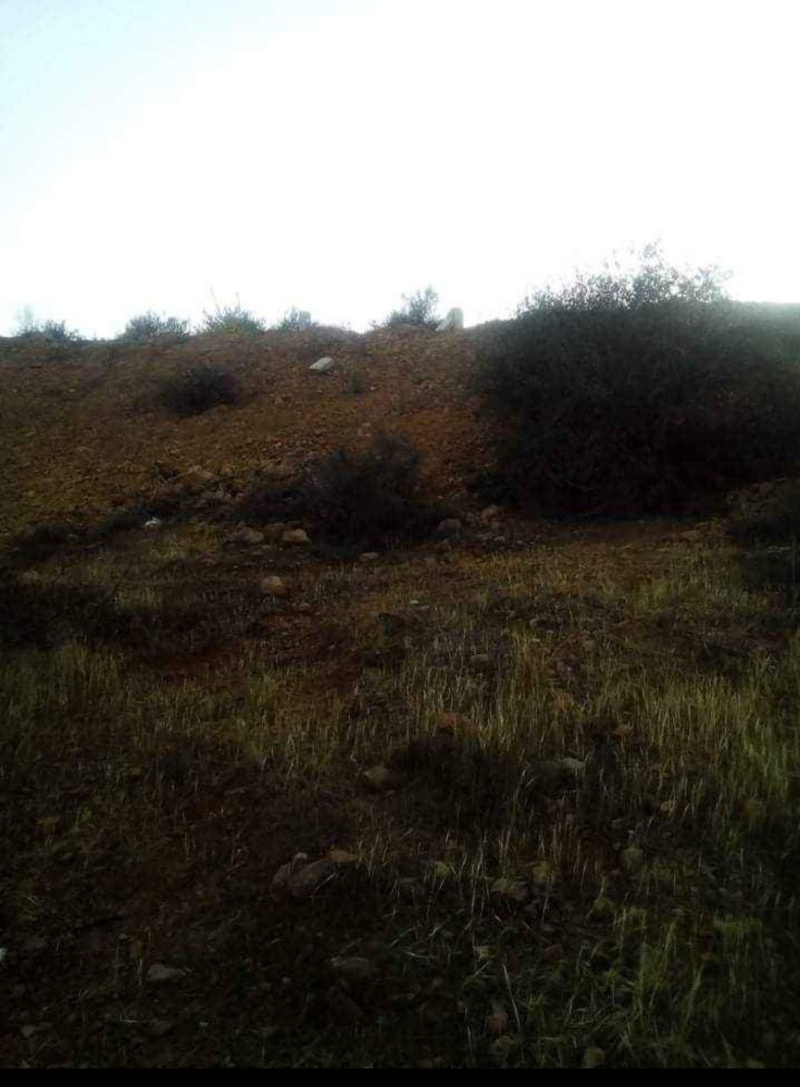 ارض سكنية   - 5