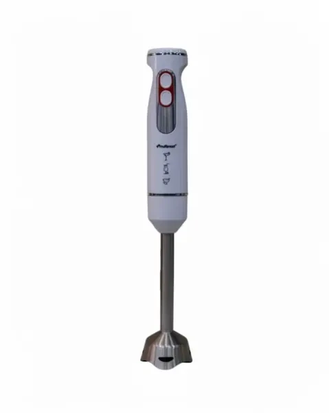 Mixeur Plongeant Multismart - 1