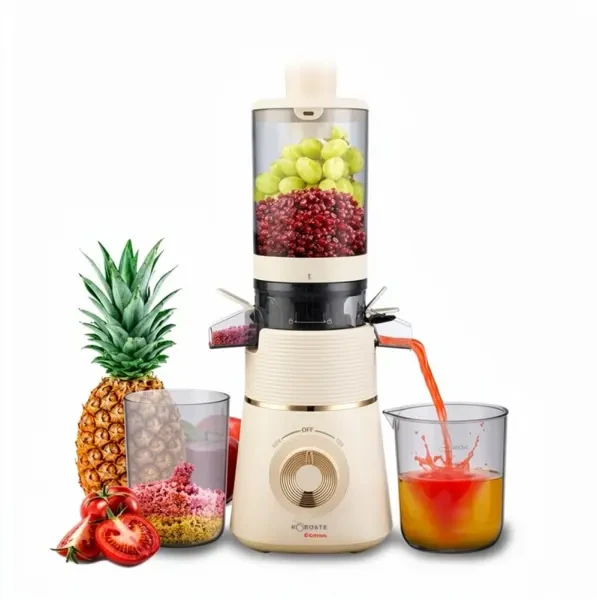 EXTRACTEUR ROBUSTE 100W - 1