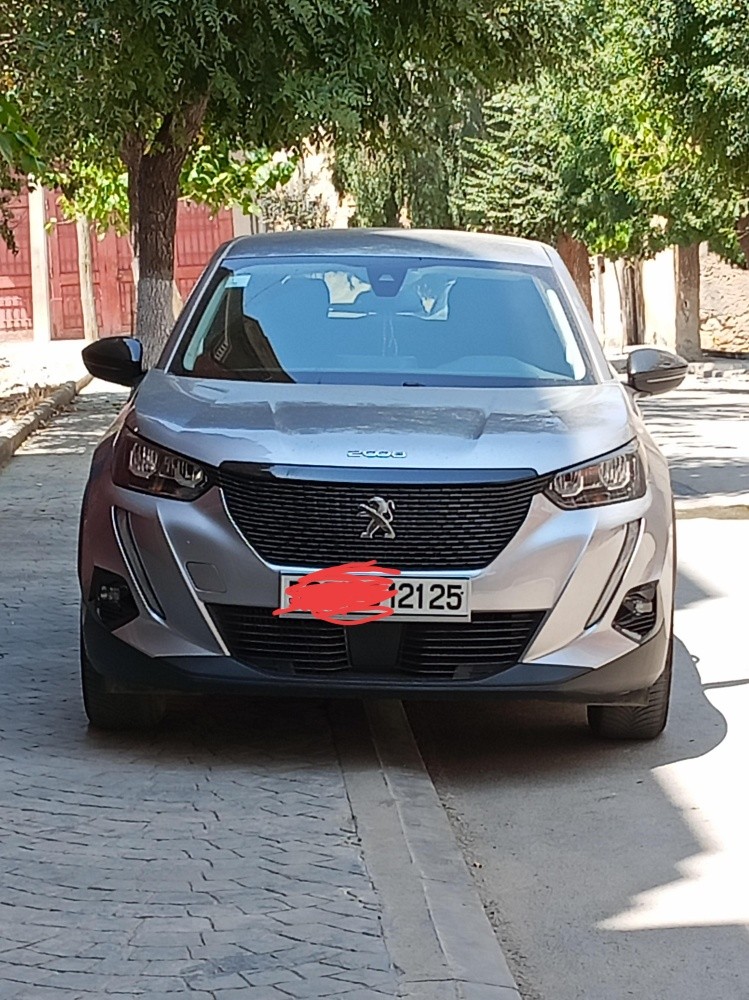 2008 بيجو - 1