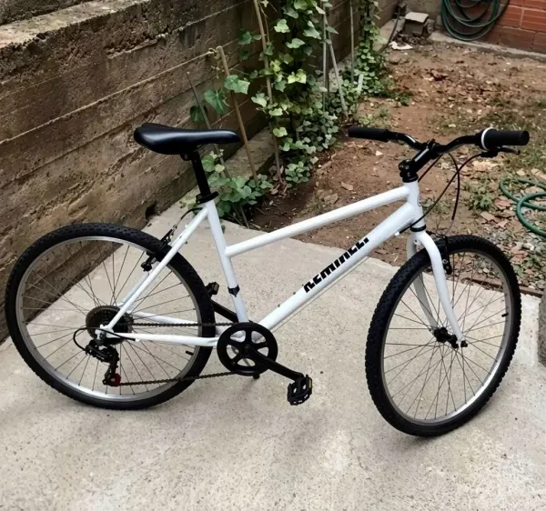 Velo - 1