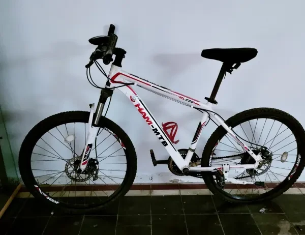 Vélo HAM-MTB d'occasion à vendre - 1