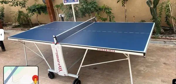 Table de tennis Ping pong Giant - 1
