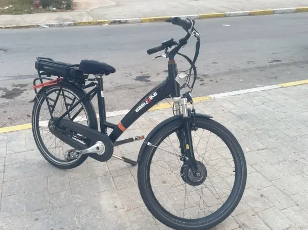 Vélo électrique - 1