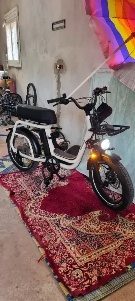 Vélo électrique Elwing cargo 2026 - 1