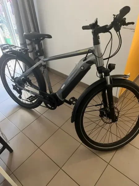 Vélo Électrique WINORA Sinus IX10 - 1